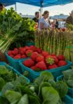 Spring Produce