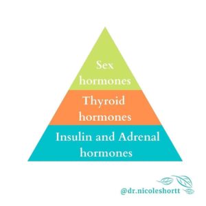 Foundation Pyramid